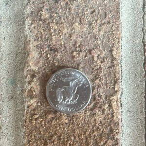 1980 D Susan B Anthony  *One Dollar Coin* Circulated Rare Wide Rim